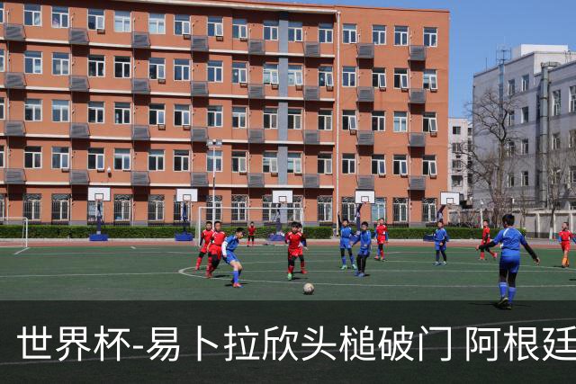 世界杯-易卜拉欣头槌破门 阿根廷失点半场0-1落后埃及